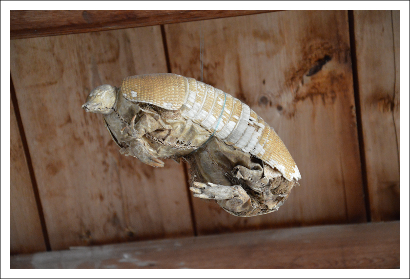 skokloster120907_030